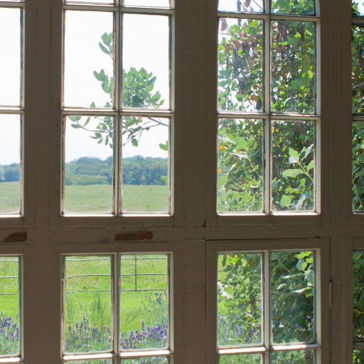 Vitrage de porte pour véranda et terrasse avec vue sur un paysage verdoyant, mettant en avant l'entretien et l'esthétique des installations vitrées.