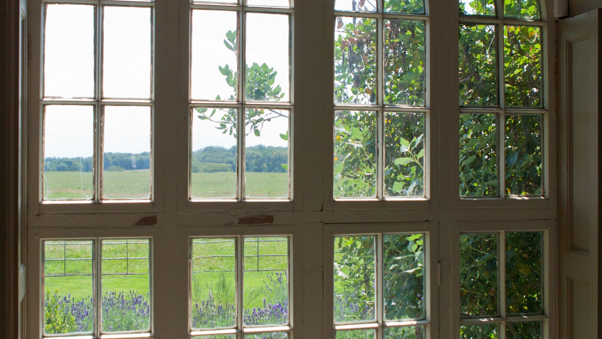 Vitrage de porte pour véranda et terrasse avec vue sur un paysage verdoyant, mettant en avant l'entretien et l'esthétique des installations vitrées.